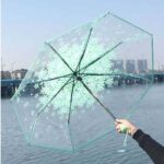 Transparent Ladies Umbrella Price in Bangladesh - Image 5
