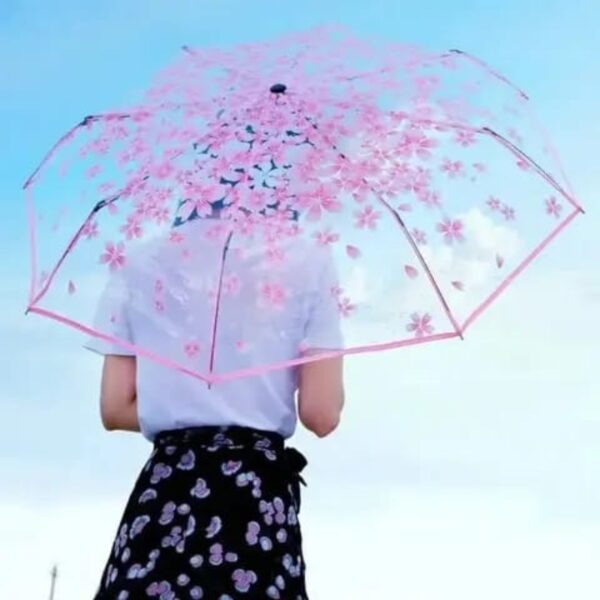 Transparent Ladies Umbrella Price in Bangladesh