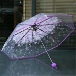 Transparent Ladies Umbrella Price in Bangladesh - Image 4