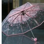 Transparent Ladies Umbrella Price in Bangladesh - Image 6